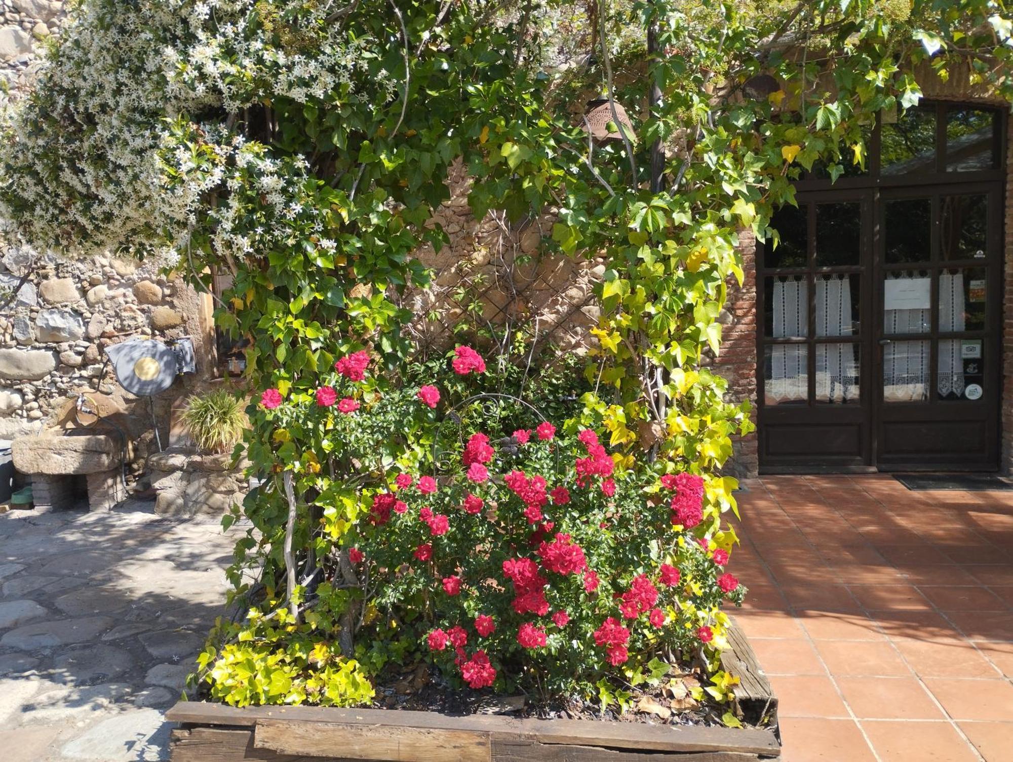 Casa Rural Can Jepet La Cellera de Ter 外观 照片